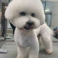 Фото работ Анна К.