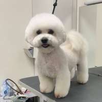 Фото работ Ирина С.