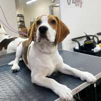 Фото работ Светлана М.