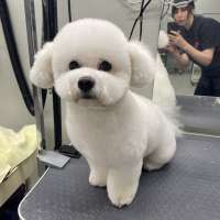 Фото работ Наталья