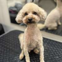 Фото работ Елена