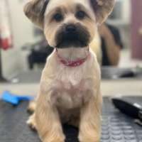 Фото работ Полина