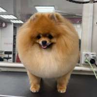 Фото работ Эльза