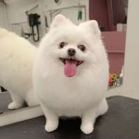 Фото работ Елена И.