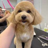 Фото работ Елизавета