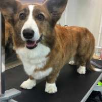 Фото работ Елизавета