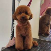 Фото работ Елизавета