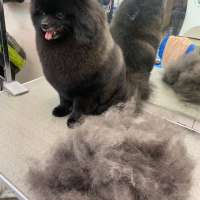 Фото работ Анна К.