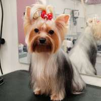 Фото работ Елена И.