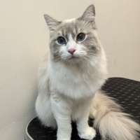 Фото работ Елена