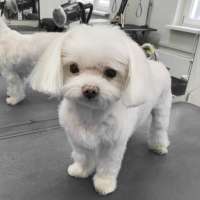 Фото работ Анна