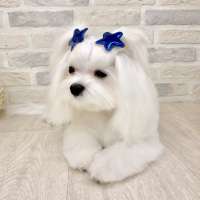 Фото работ Анна К.