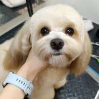 Фото работ Елена