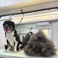 Фото работ Валерия