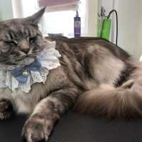 Фото работ Елизавета