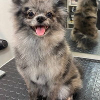 Фото работ Анна