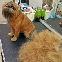 Фото работ Александра