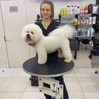 Фото работ Елена