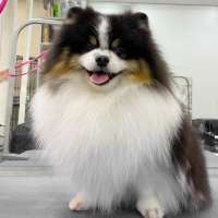 Фото работ Анна