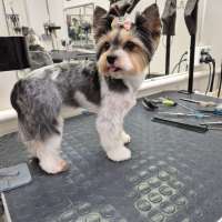 Фото работ Мария