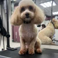 Фото работ Олеся С