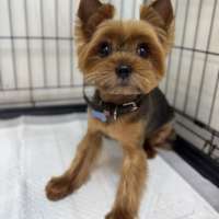 Фото работ Анастасия Н