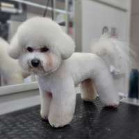 Фото работ Светлана