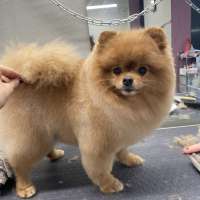 Фото работ Наталья