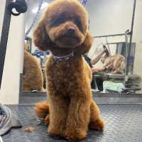 Фото работ Елизавета