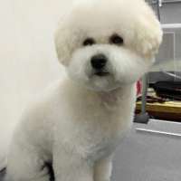 Фото работ Светлана