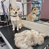 Фото работ Мария