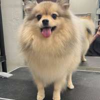 Фото работ Милана