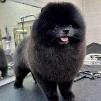 Фото работ Александра