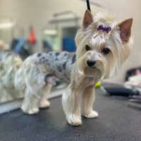 Фото работ Александра