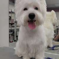 Фото работ Елена К