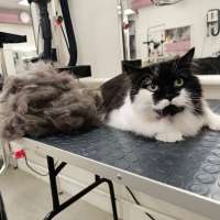 Фото работ Елена И.