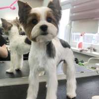 Фото работ Елизавета