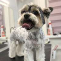 Фото работ Ксения