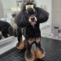 Фото работ Светлана