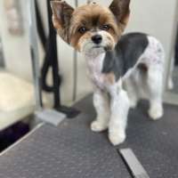 Фото работ Наталья