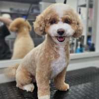 Фото работ Светлана