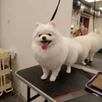 Фото работ Елена И.