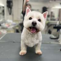 Фото работ Ирина С.