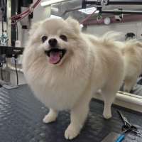 Фото работ Мария