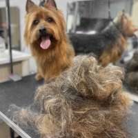 Фото работ Александра