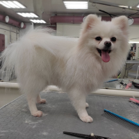 Фото работ Елена К