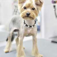 Фото работ Анна К.