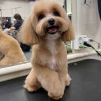 Фото работ Эльза