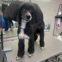 Фото работ Анна К.