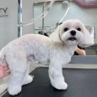 Фото работ Елизавета